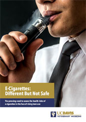 E-Cigarettes: DIfferent But Not Safe