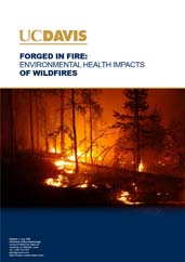 Forged in Fire: Environmental Health Impacts of Wildfires